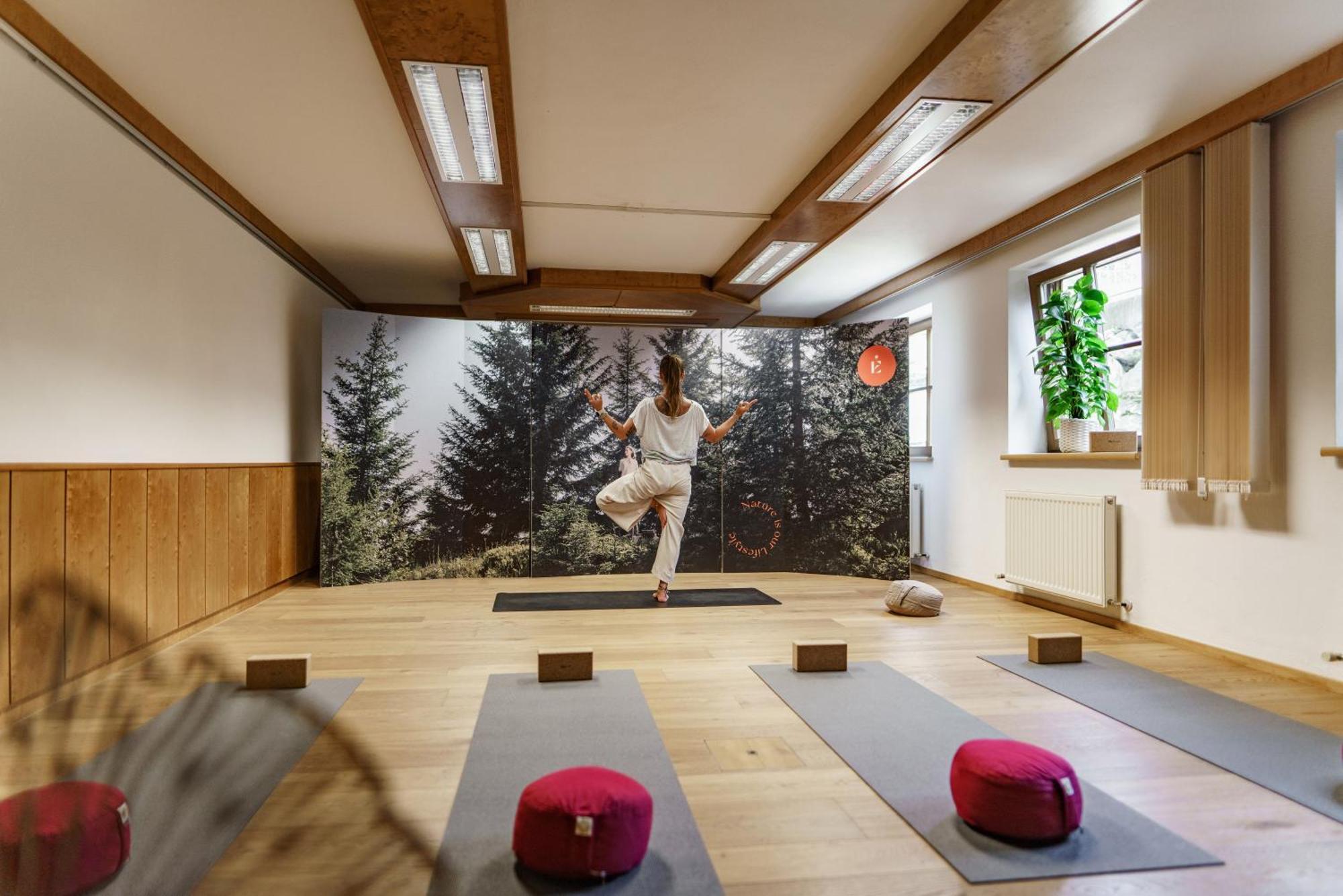 Naturhotel Edelweiss Wagrain Extérieur photo